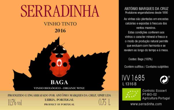 Baga 100% 2016